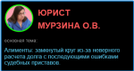 Алименты: замкнутый круг из-за неверного расчета долга с последующими ошибками судебных приставов.